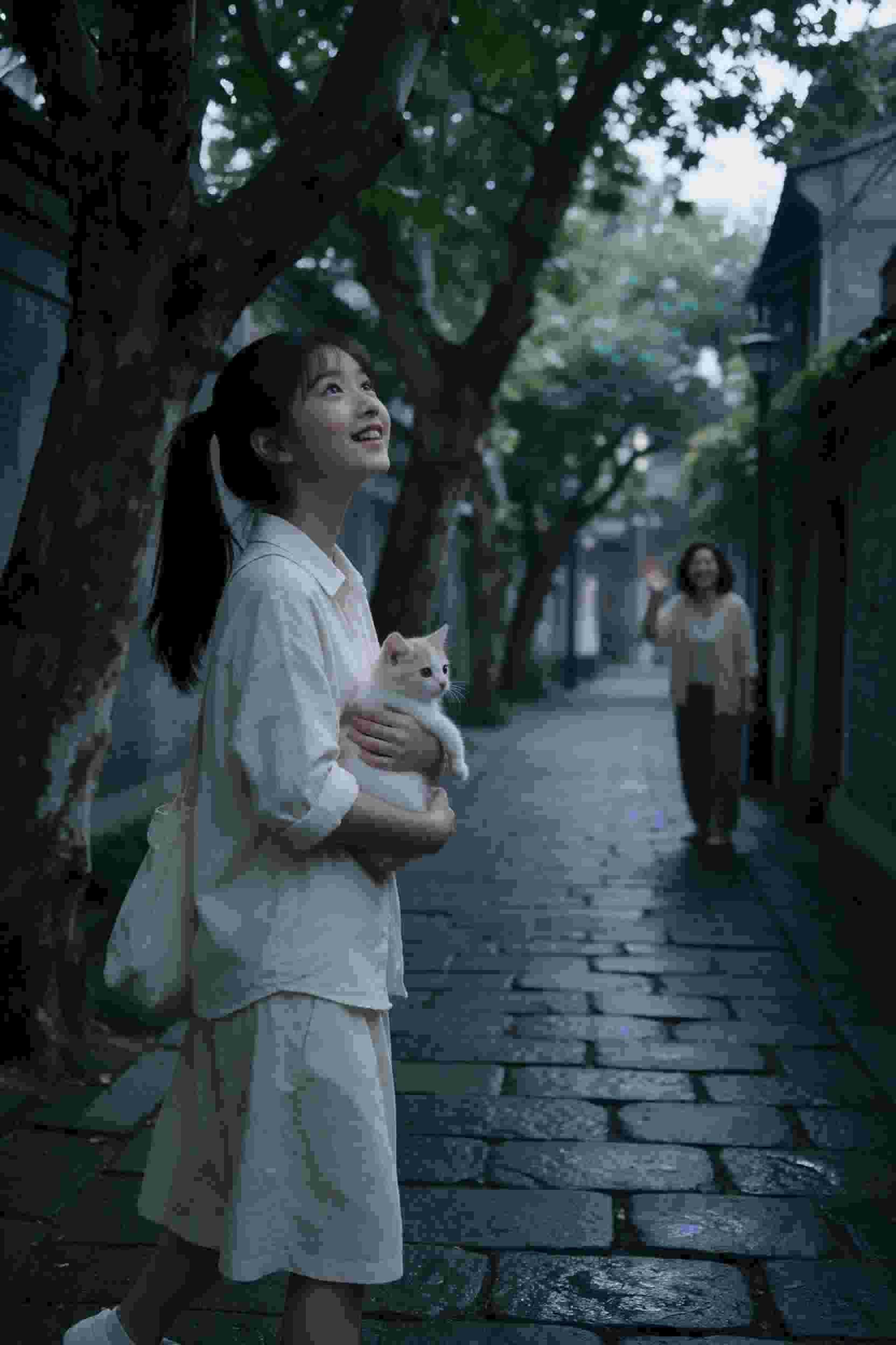 彼岸花开